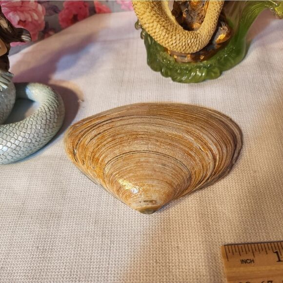 DECOUPAGE LEMON TREE CLAM SHELL - Picture 7 of 8